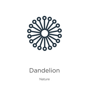Dandelion icon. Thin linear dandelion outline icon isolated on white background from nature collection. Line vector sign, symbol for web and mobile
