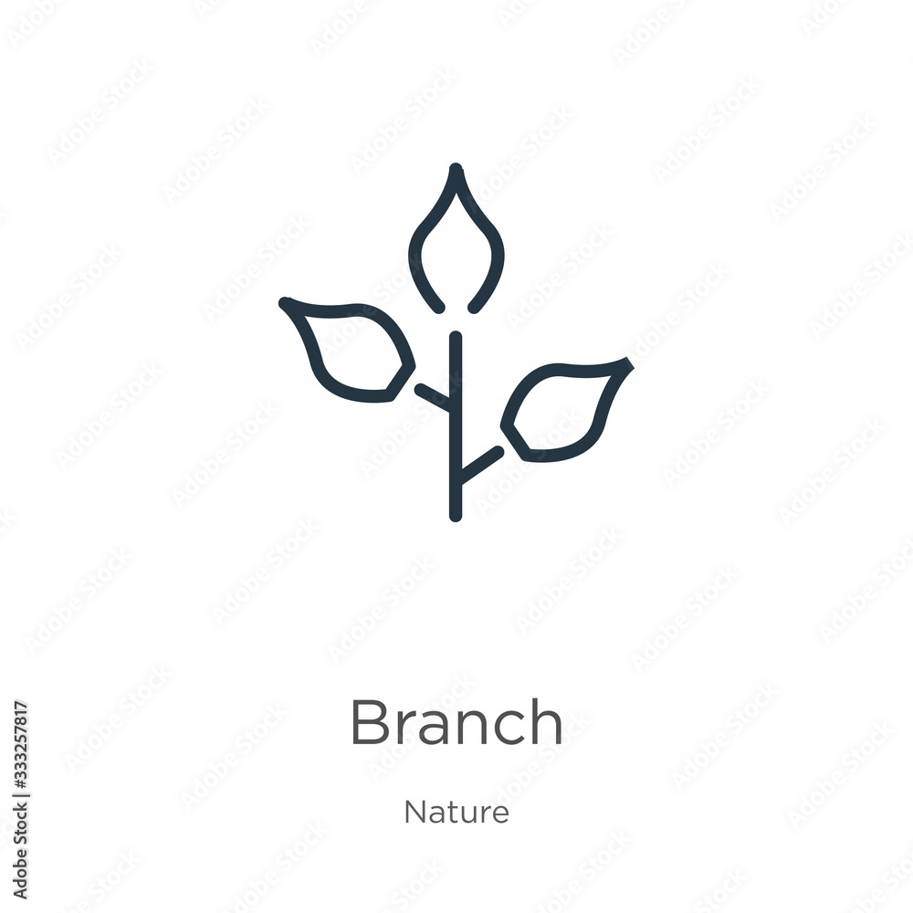 Poster branch icon. thin linear branch outline icon isolated on white background from nature collection. li