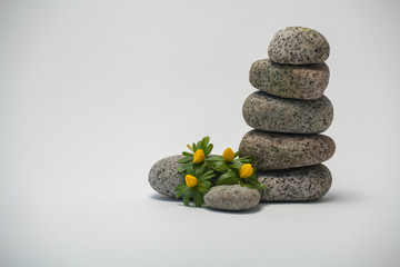 Obraz na płótnie Canvas Granite stones stacked high with yellow flowers and a white background