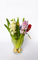 Spring fragrant flowers composition with purple, white and pink hyacinths in a transparent glass vase on white background.