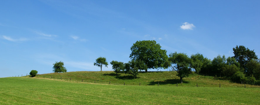 Himmel, B&auml;ume und Wiese