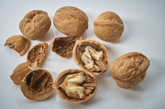 Template of healthy natural products from nuts for proper nutrition