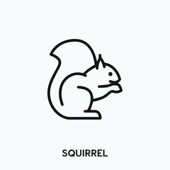 squirrel icon vector. squirrel icon vector symbol illustration. Modern simple vector icon for your design. squirrel icon vector  © Turgay Gasimli