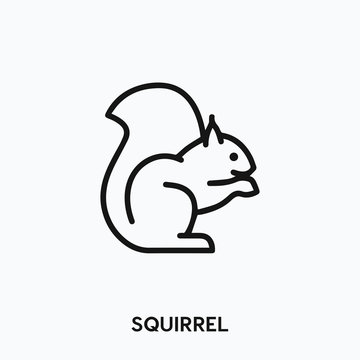 squirrel icon vector. squirrel icon vector symbol illustration. Modern simple vector icon for your design. squirrel icon vector	