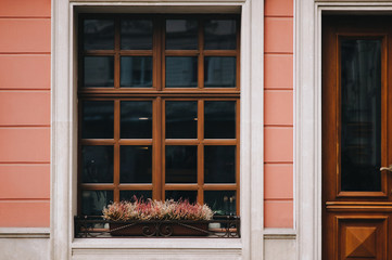 Old brown wooden window with rectangular frames for glass, a flower pot with flowers, a door and a house pink facade.