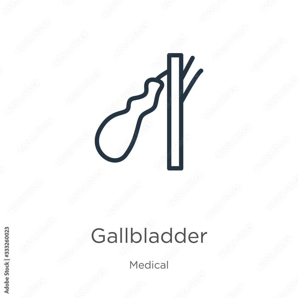 Poster gallbladder icon. thin linear gallbladder outline icon isolated on white background from medical col
