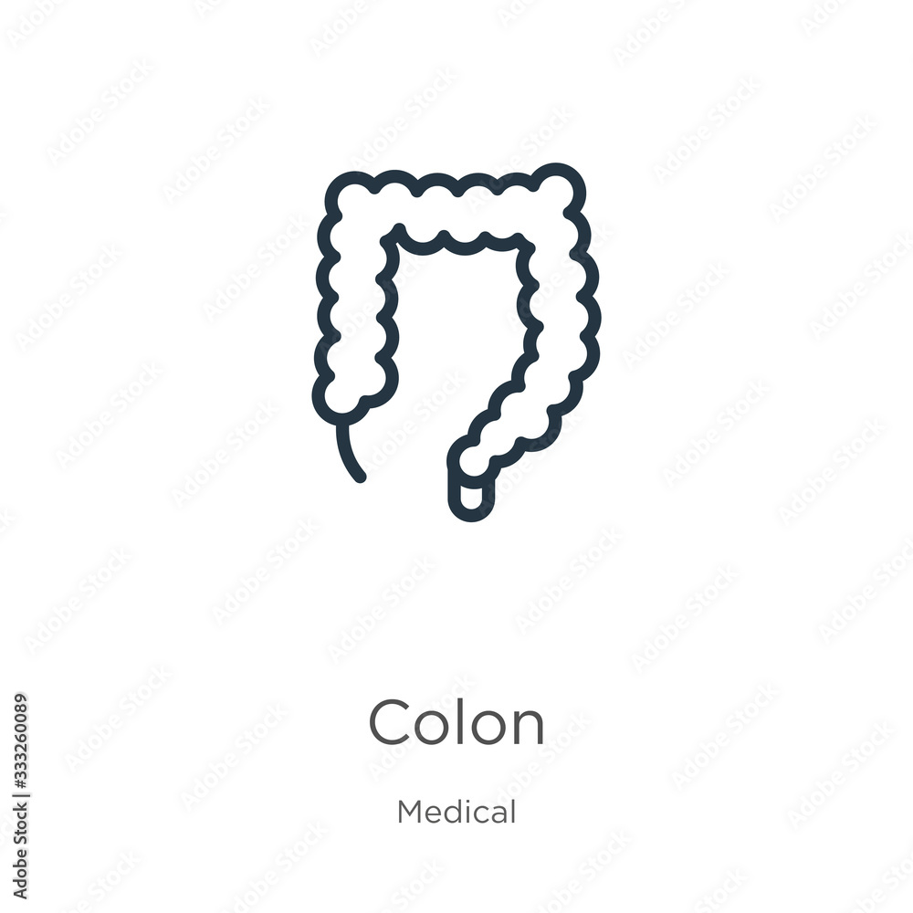 Poster colon icon. thin linear colon outline icon isolated on white background from medical collection. lin