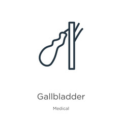 Gallbladder icon. Thin linear gallbladder outline icon isolated on white background from medical collection. Line vector sign, symbol for web and mobile