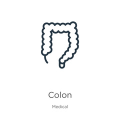 Colon icon. Thin linear colon outline icon isolated on white background from medical collection. Line vector sign, symbol for web and mobile
