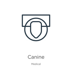 Canine icon. Thin linear canine outline icon isolated on white background from medical collection. Line vector sign, symbol for web and mobile