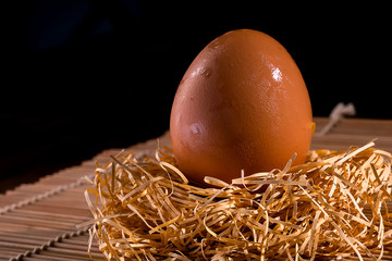 Raw chicken eggs laid on hay
