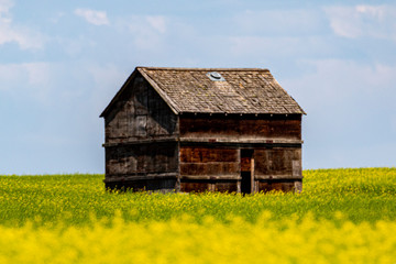  Farm land, Alberta, Canada