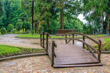 View of beautiful summer park with green trees, bushes and lawns, palm trees, wooden bridge and benches at rainy weather. 