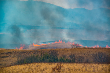 日出生台の野焼き