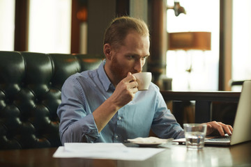 Bearded mature businessman drinking coffee while working on laptop computer at the table in coffee shop