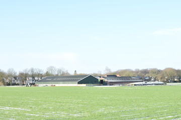 cattle sheds near farms in the Achterhoek region