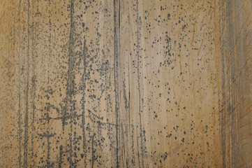 Old wood texture background