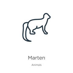 Marten icon. Thin linear marten outline icon isolated on white background from animals collection. Line vector sign, symbol for web and mobile
