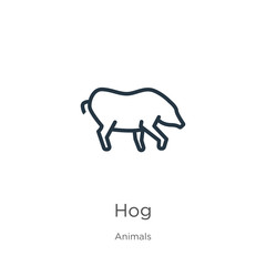 Hog icon. Thin linear hog outline icon isolated on white background from animals collection. Line vector sign, symbol for web and mobile