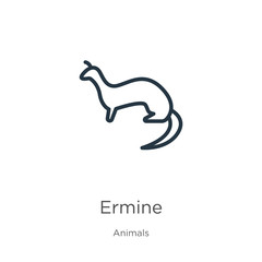 Ermine icon. Thin linear ermine outline icon isolated on white background from animals collection. Line vector sign, symbol for web and mobile