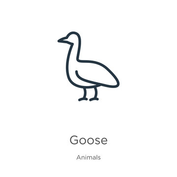 Goose icon. Thin linear goose outline icon isolated on white background from animals collection. Line vector sign, symbol for web and mobile