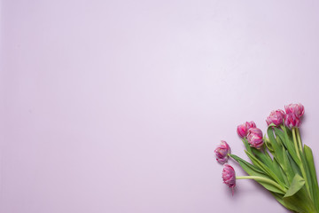 a bouquet of pink tulips on a lilac background. a bouquet of flowers as a gift. card for the holiday