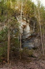 Niagara Escarpment small caves and crevasses, Pottawatomi State Park, Door County, WI.