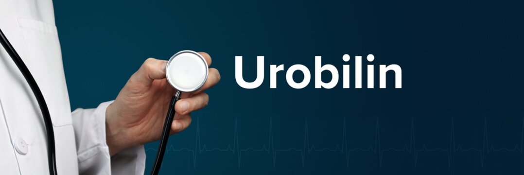 Urobilin. Doctor in smock holds stethoscope. The word Urobilin is next to it. Symbol of medicine, illness, health