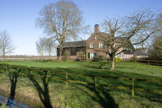Traditional typical dutch farm building with pasture for cattle