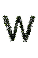 Letter W made of leaf isolated on white.made in 3d