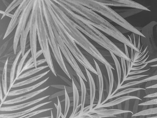 Beautiful abstract color gray and white three leaves marble on black background and black and white granite tiles floor on white background, love gray leaves banners graphics, art mosaic decoration