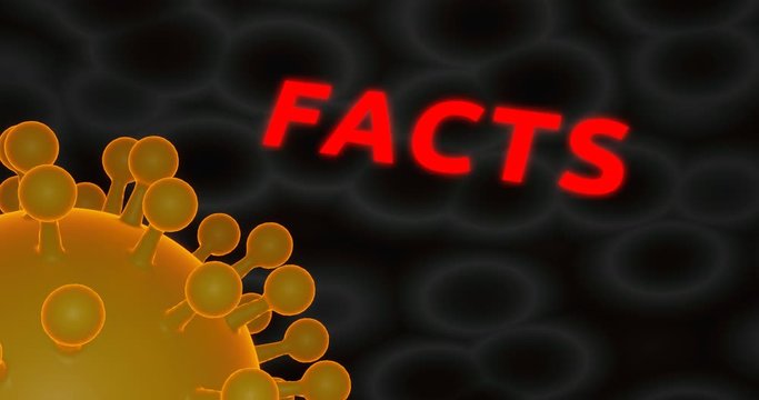 Bitte nicht alles glauben, Informationen pr&uuml;fen, 4K Animation