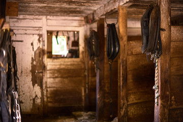 Fototapeta na wymiar The horse harness hangs on the stall, old stable