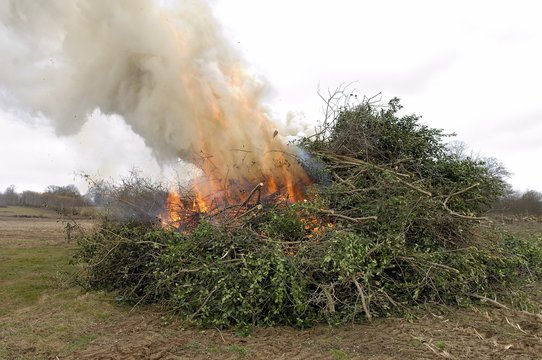 Brulage de bois vert suite &agrave; entretien de haies par un agriculteur, &eacute;cobuage
