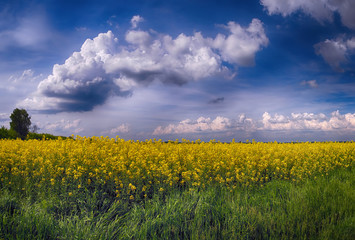 Beautiful clouds on a summer sunny day over the field. Air cloud in the blue sky.