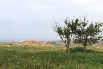 paysage du maroc