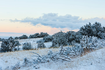 High Desert New Mexico Snow Cover 