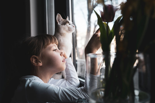 girl waiting by the window near her cat