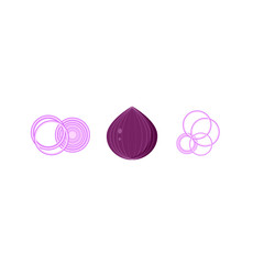 This is purple onion isolated on white background. Vector illustration.