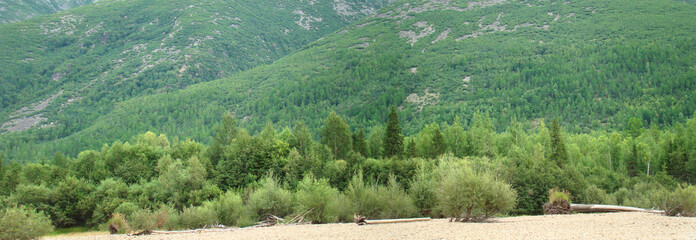 Panoramic mountain landscape of the wild forest of Siberia. Nature background for design.