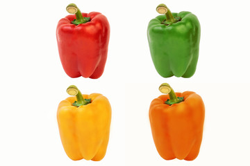 Four sweet juicy peppers of different color on a white background