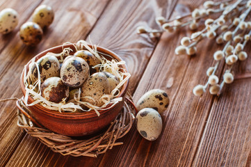 Obraz na płótnie Canvas Quail eggs in the ceramic bowl near willow branches