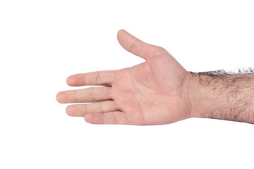 Caucasian male arm isolated on white background. Hairy arm of an adult male