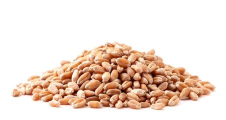 Wheat grain heap close up on a white. Isolated