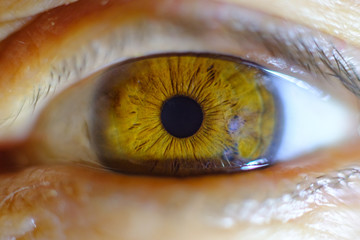 Close-up of an eyeball, pupil and iris. Macro shot of a human eye.