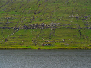 Faroe Islands. Green slopes of the hills and house with grass roof at the shore of fjord.