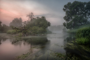 Fototapeta na wymiar The June dawns on Istra river