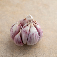 White and purple garlic head on a light brown background