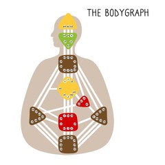 Human Design BodyGraph. Nine colored energy centers