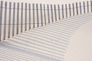 New Jersey Island Beach state park attempts to protect the massive and endangered sand dunes from...